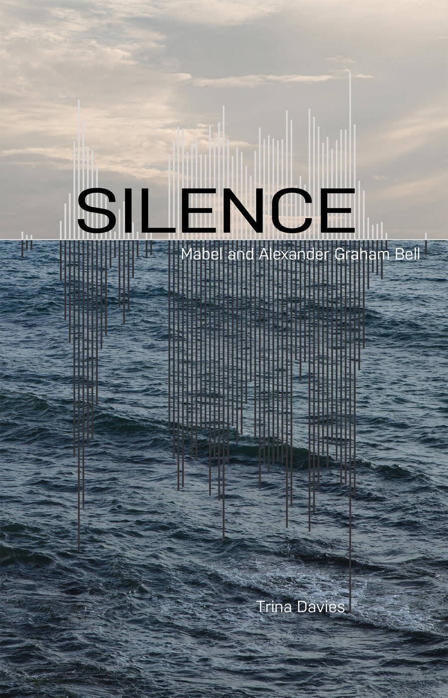 Book cover image for Silence ISBN: 9780369101419