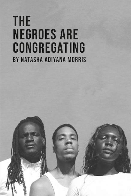 Book cover image for The Negroes Are Congregating ISBN: 9780369103918