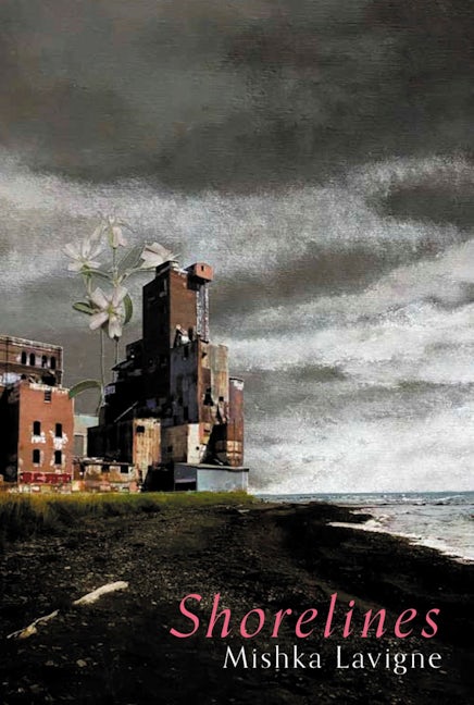 Book cover image for Shorelines ISBN: 9780369104618
