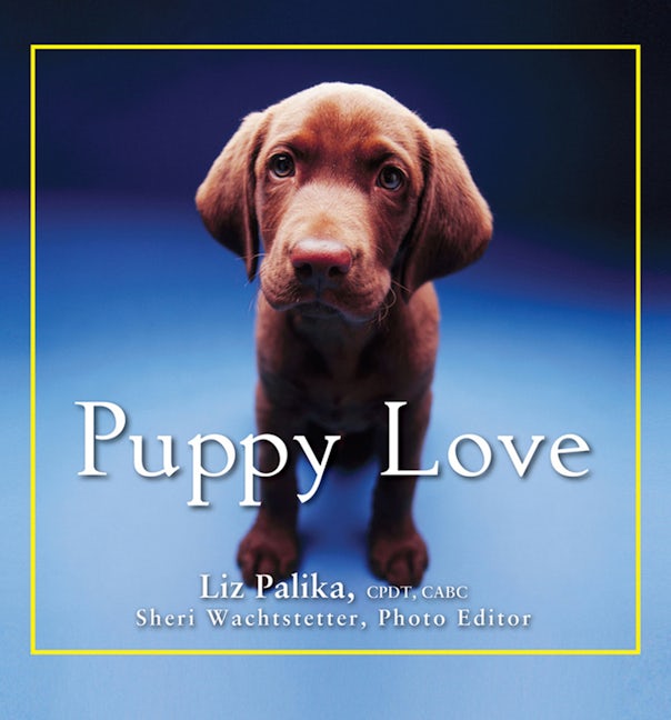 Book cover image for Puppy Love ISBN: 9780470393178