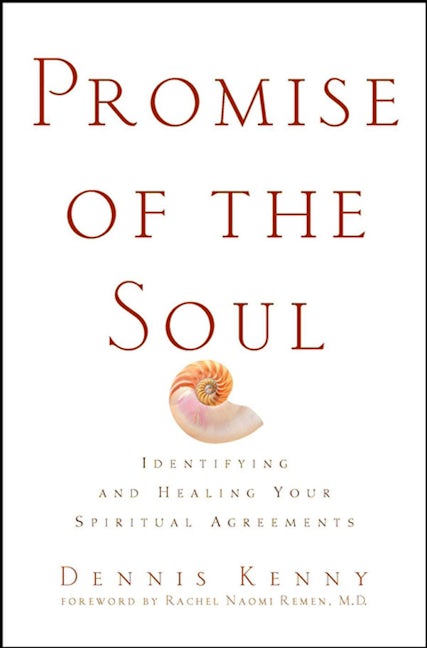 Book cover image for Promise of the Soul ISBN: 9780471418337