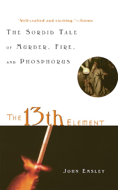Book cover image for The 13th Element ISBN: 9780471441496