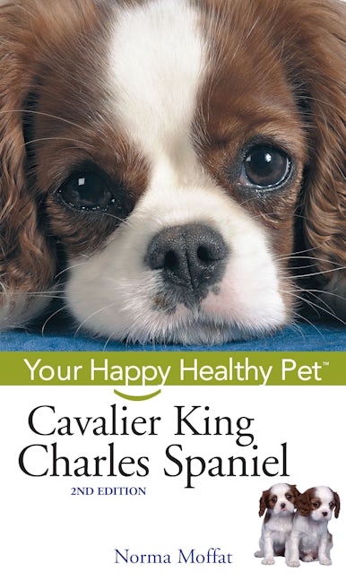 Cavalier King Charles Spaniel