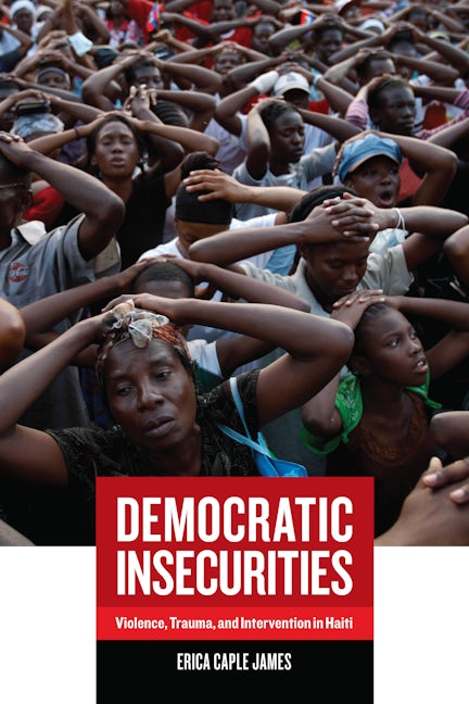 Book cover image for Democratic Insecurities ISBN: 9780520260542