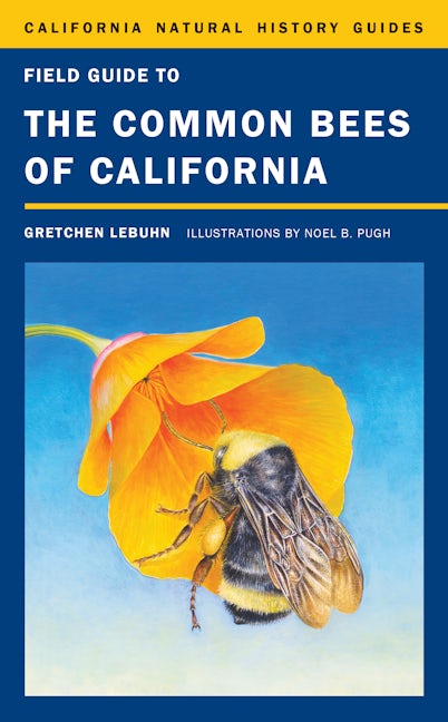Book cover image for Field Guide to the Common Bees of California ISBN: 9780520272835