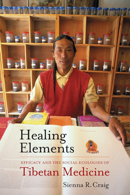 Cover image for Healing Elements ISBN 9780520951587