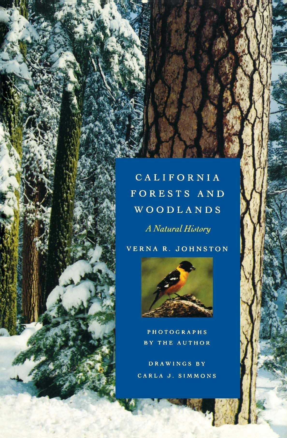 Book cover image for California Forests and Woodlands ISBN: 9780520916920