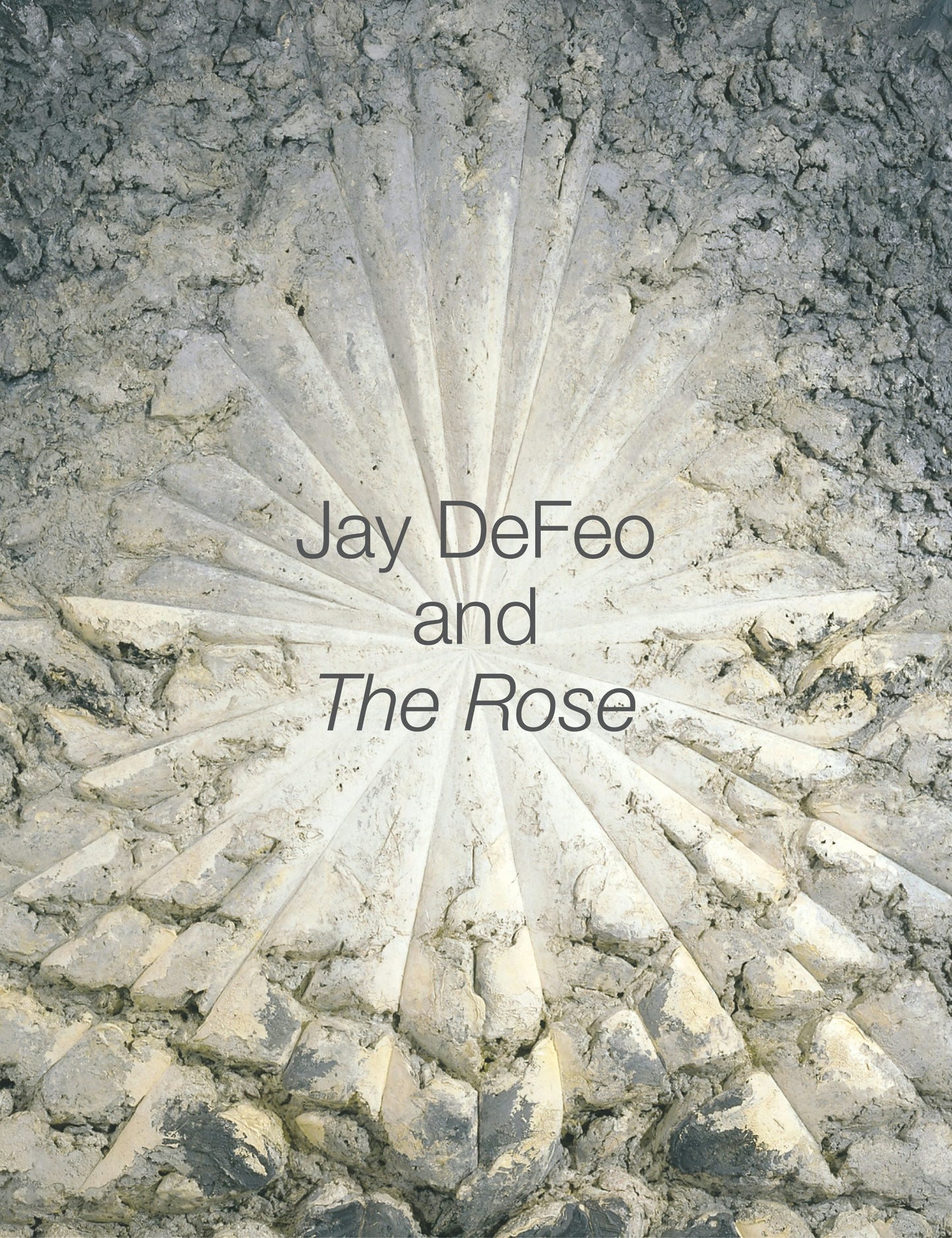Book cover image for Jay DeFeo and The Rose ISBN: 9780520928626