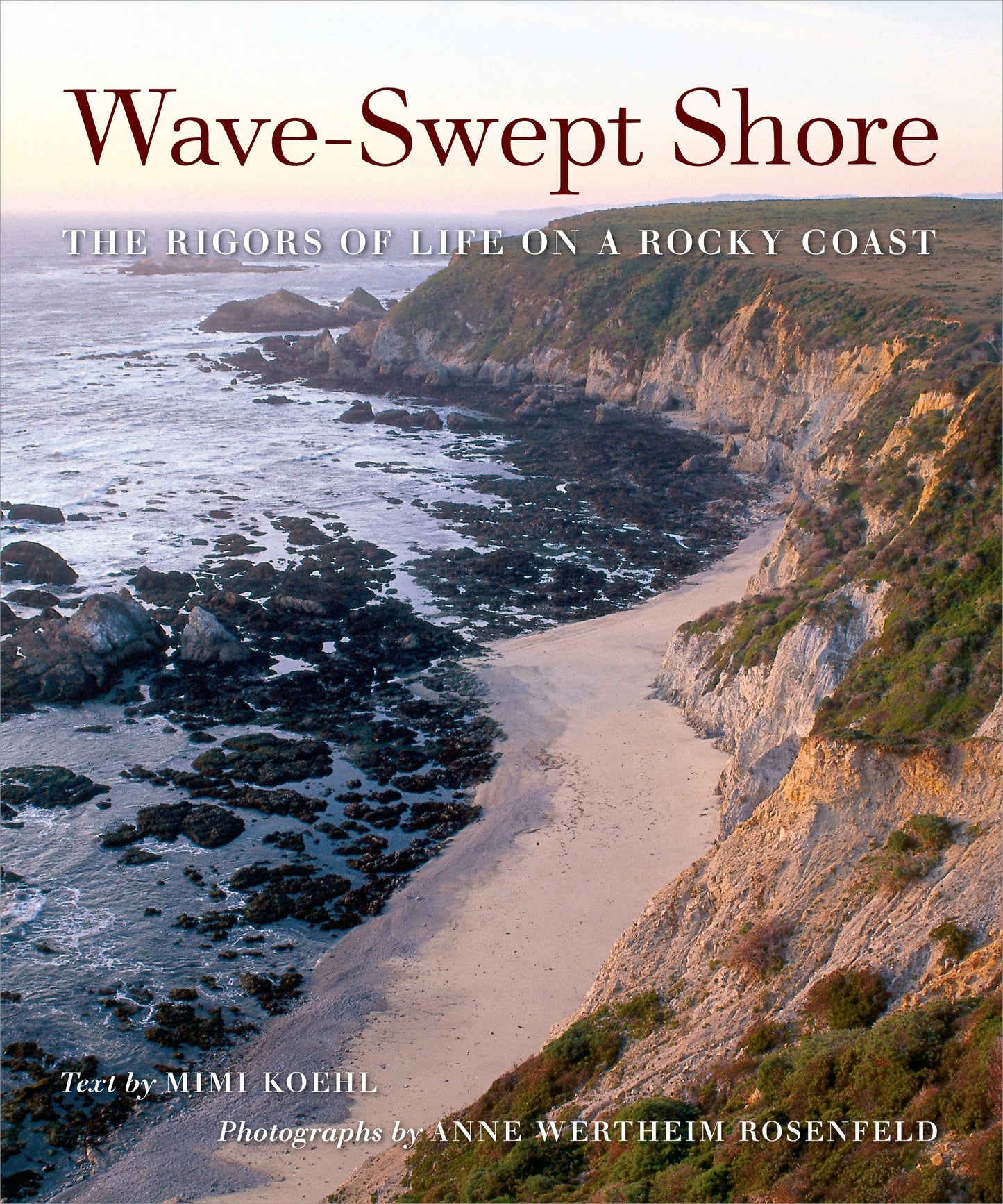 Book cover image for Wave-Swept Shore ISBN: 9780520929999