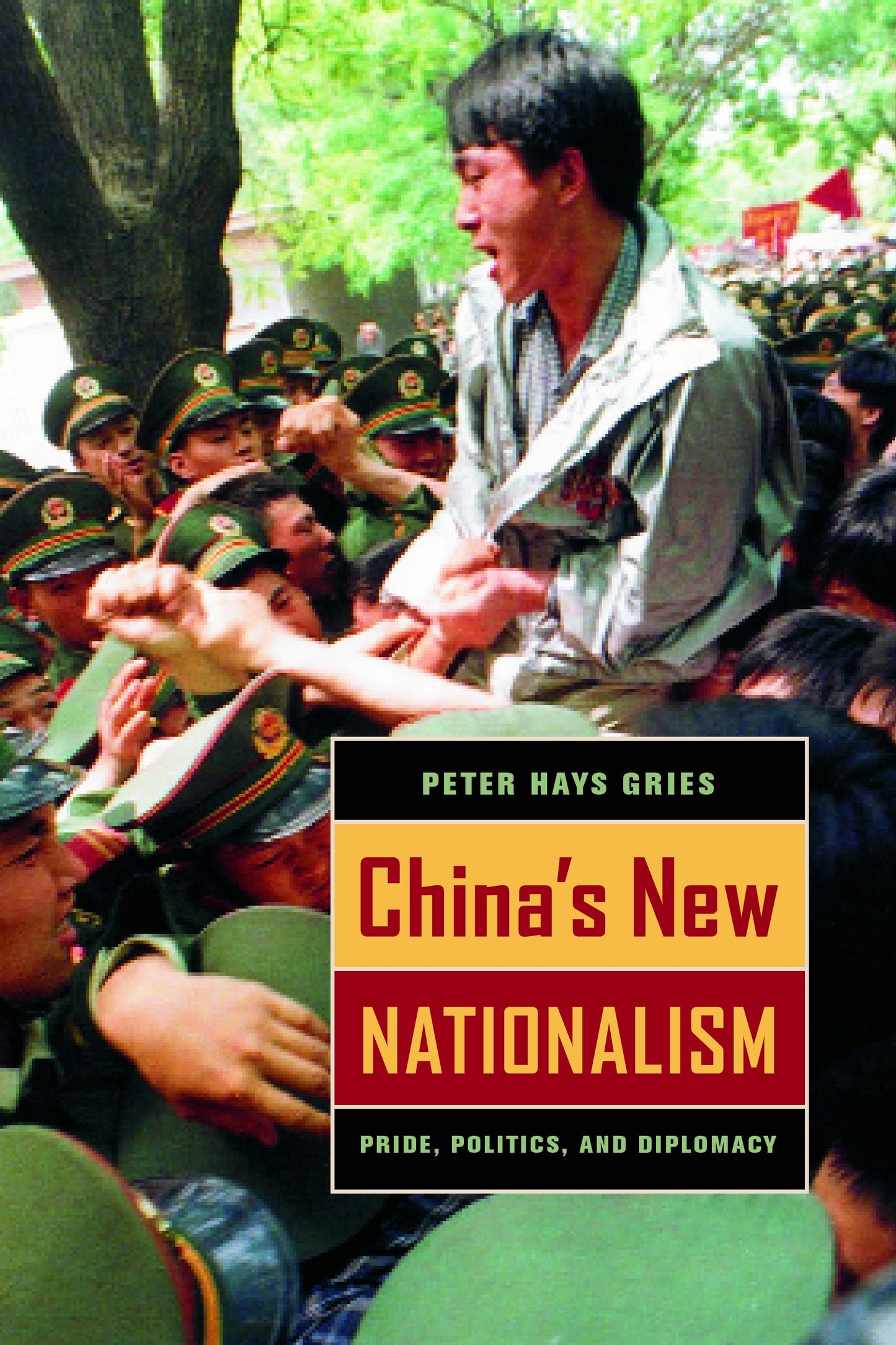 Book cover image for China's New Nationalism ISBN: 9780520931947