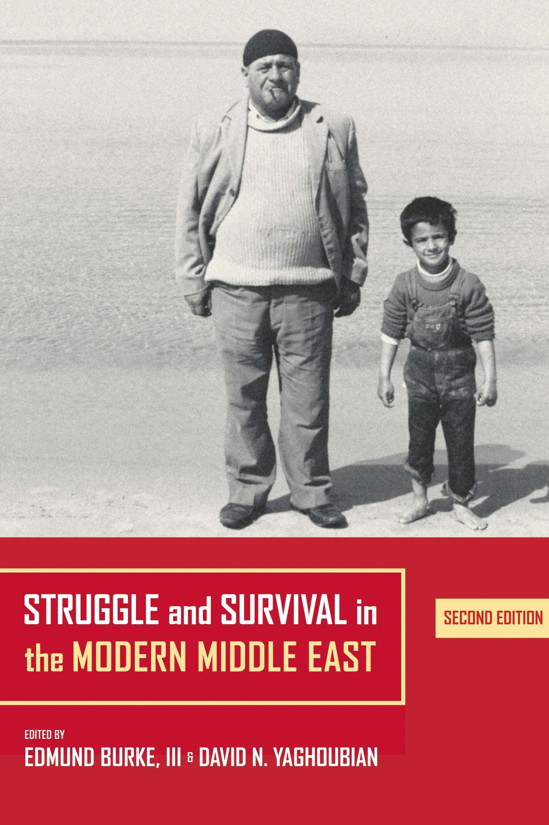 Book cover image for Struggle and Survival in the Modern Middle East ISBN: 9780520932500