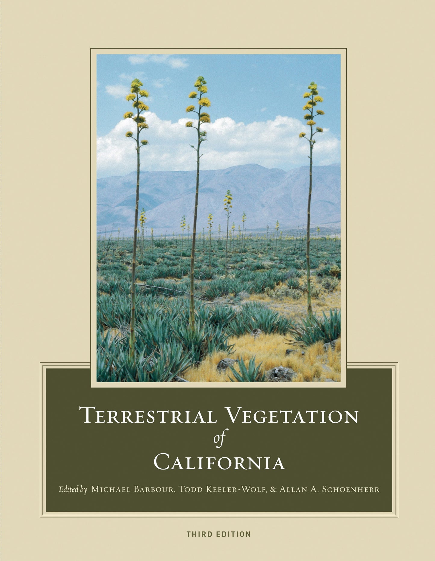 Book cover image for Terrestrial Vegetation of California, 3rd Edition ISBN: 9780520933361