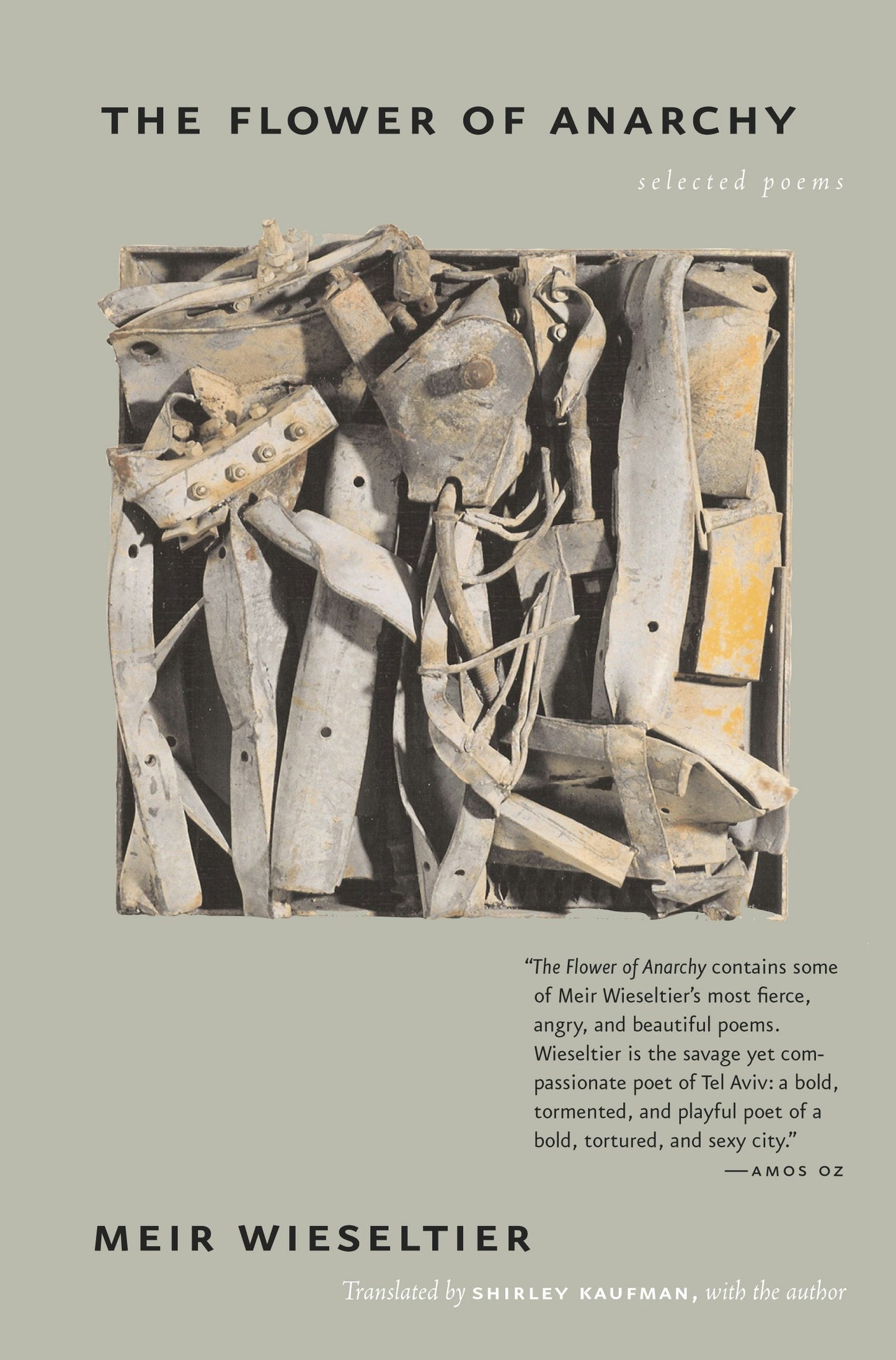 Book cover image for The Flower of Anarchy ISBN: 9780520936683