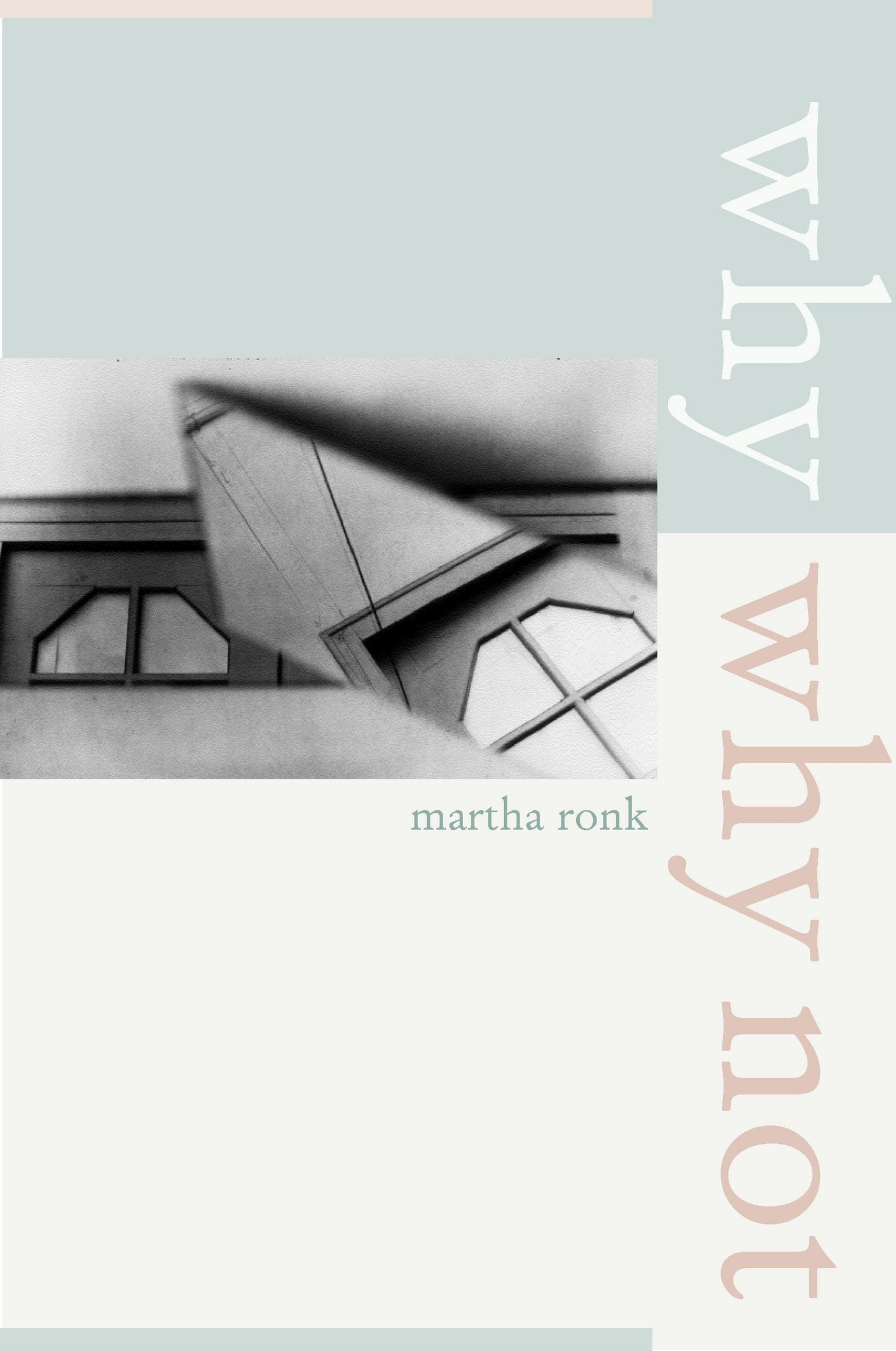 Book cover image for Why/Why Not ISBN: 9780520937116