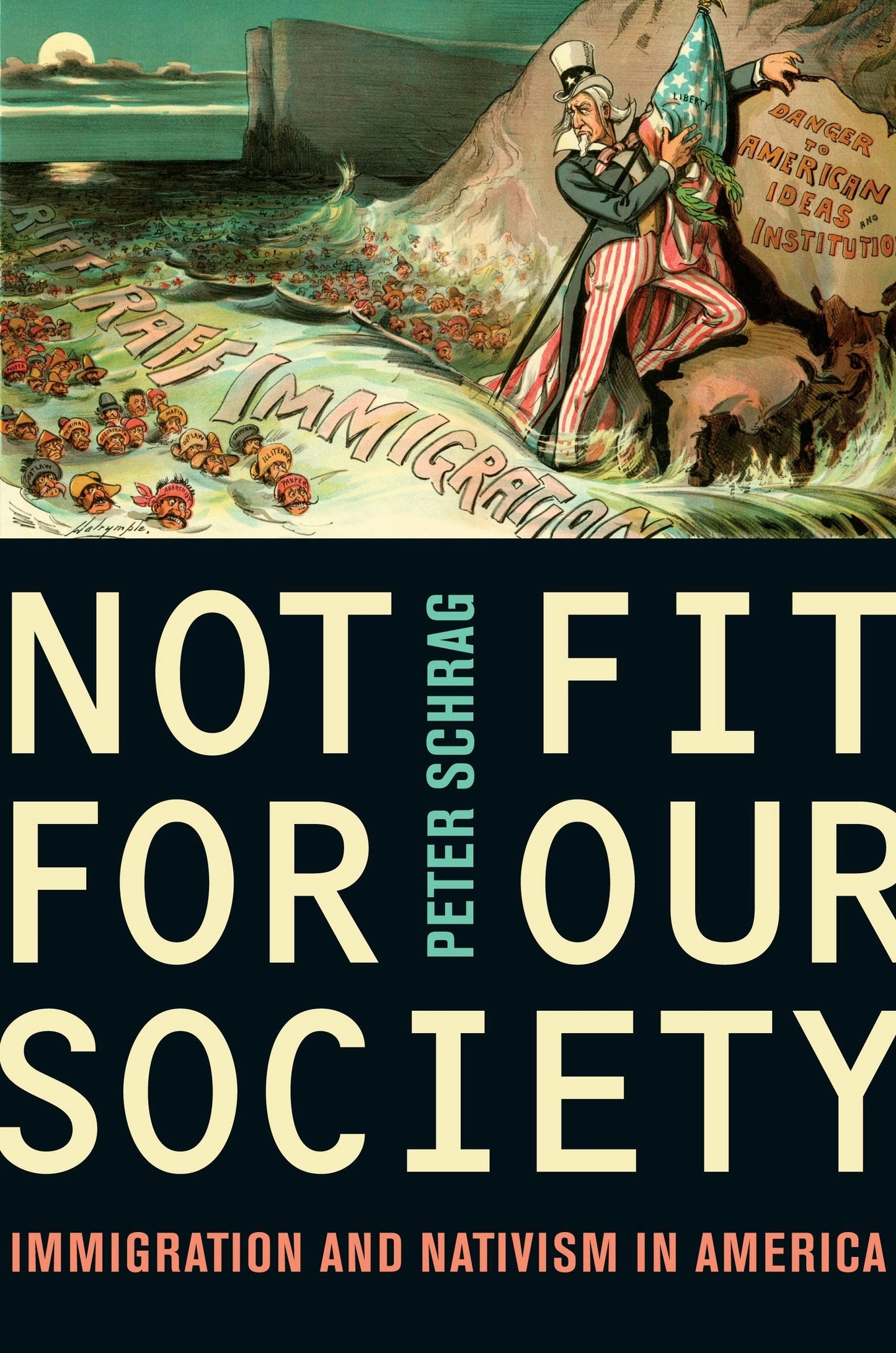 Book cover image for Not Fit for Our Society ISBN: 9780520945777
