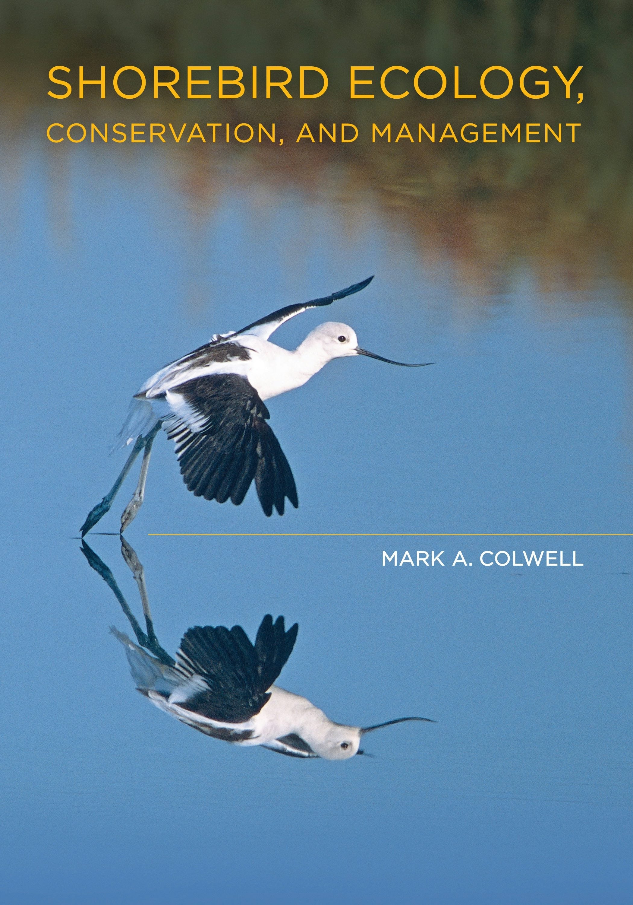 Book cover image for Shorebird Ecology, Conservation, and Management ISBN: 9780520947962
