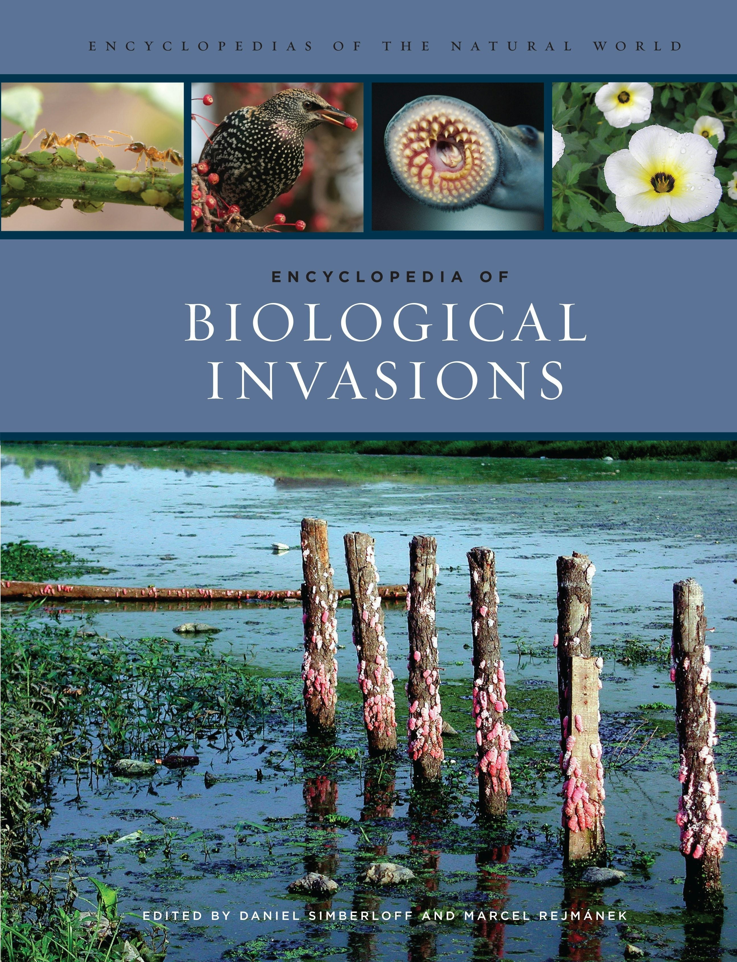 Book cover image for Encyclopedia of Biological Invasions ISBN: 9780520948433