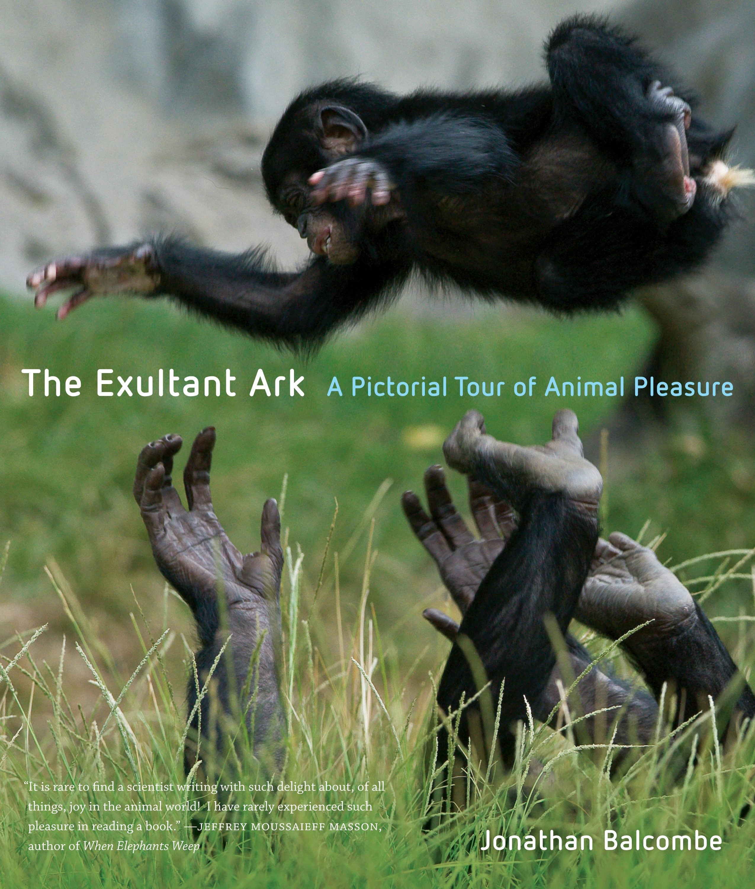 Book cover image for The Exultant Ark ISBN: 9780520948648