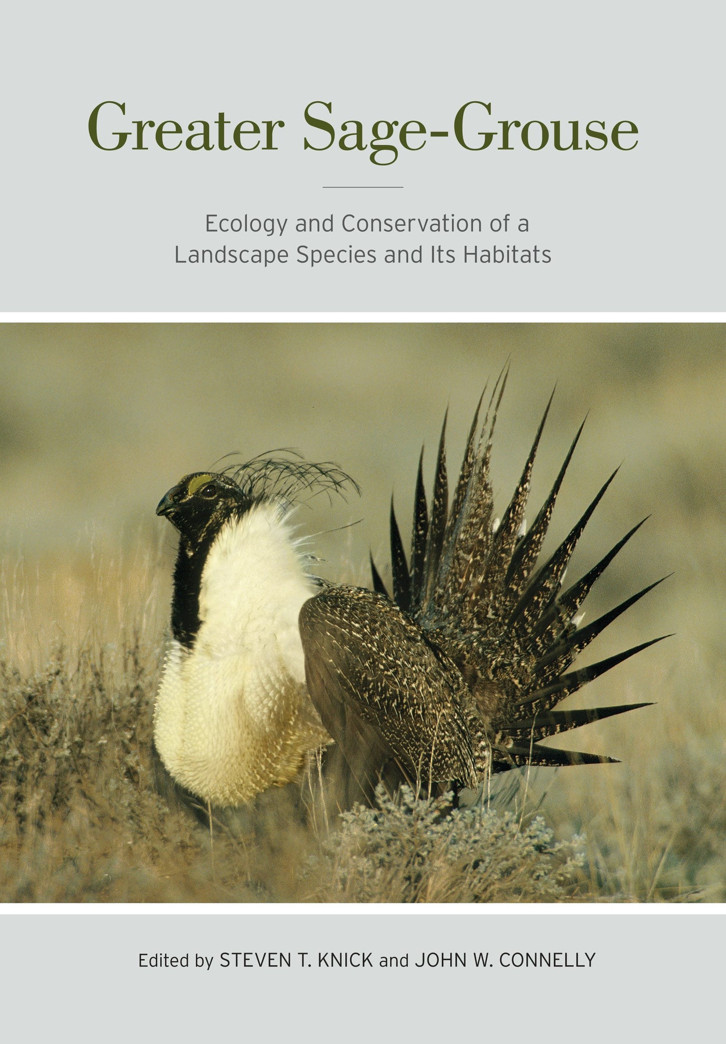 Book cover image for Greater Sage-Grouse ISBN: 9780520948686