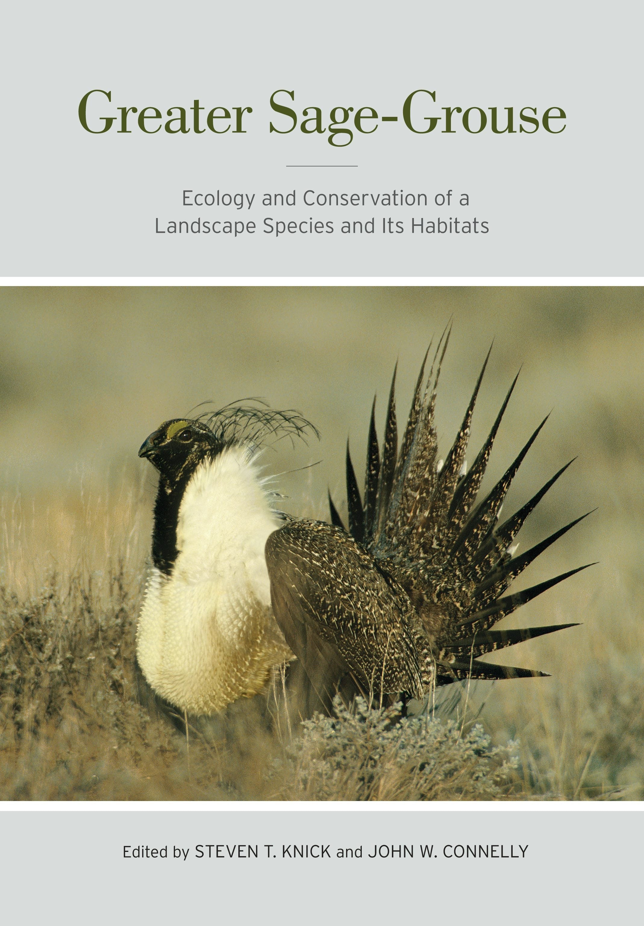 Book cover image for Greater Sage-Grouse ISBN: 9780520948686