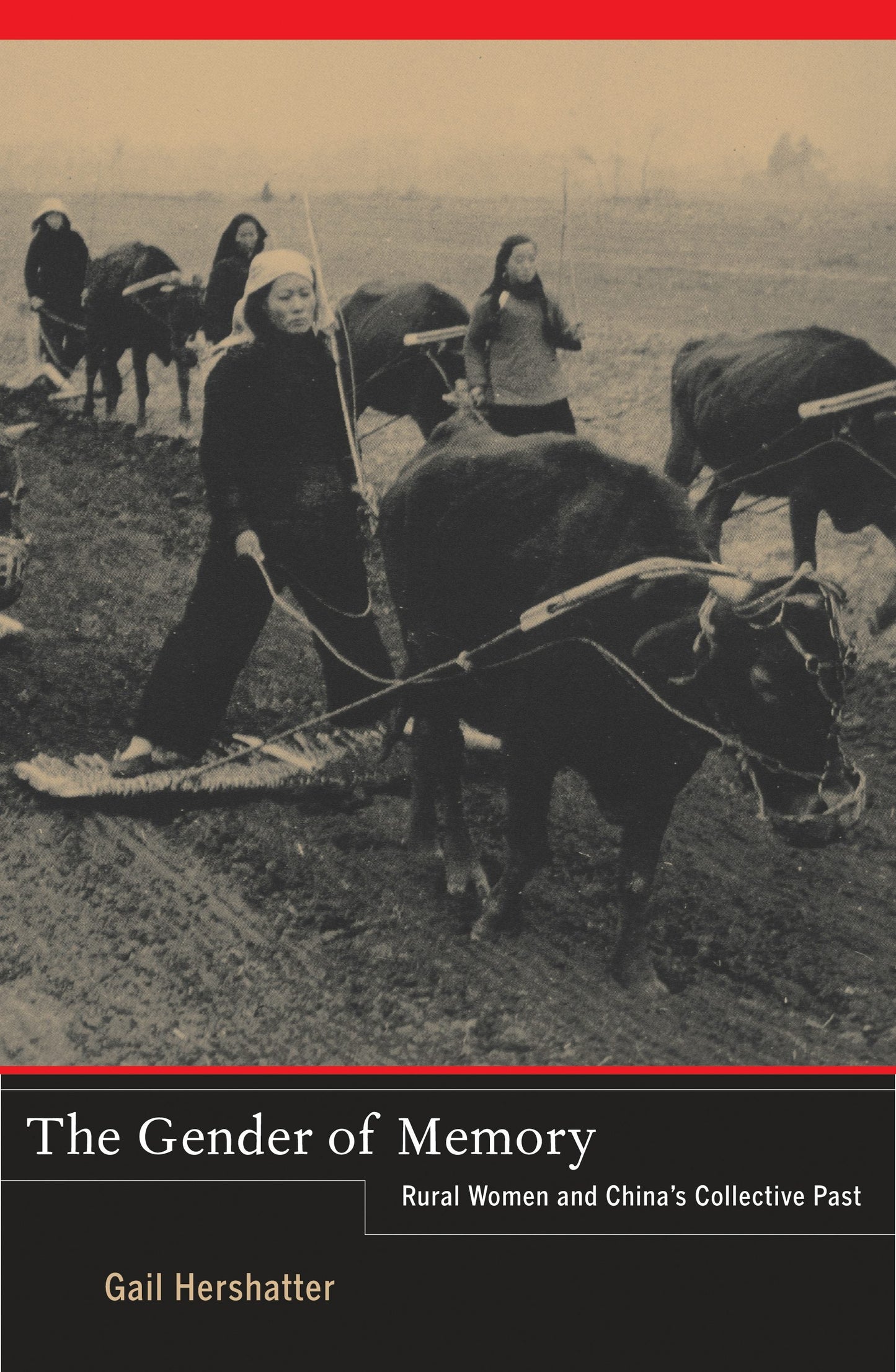 Book cover image for The Gender of Memory ISBN: 9780520950344