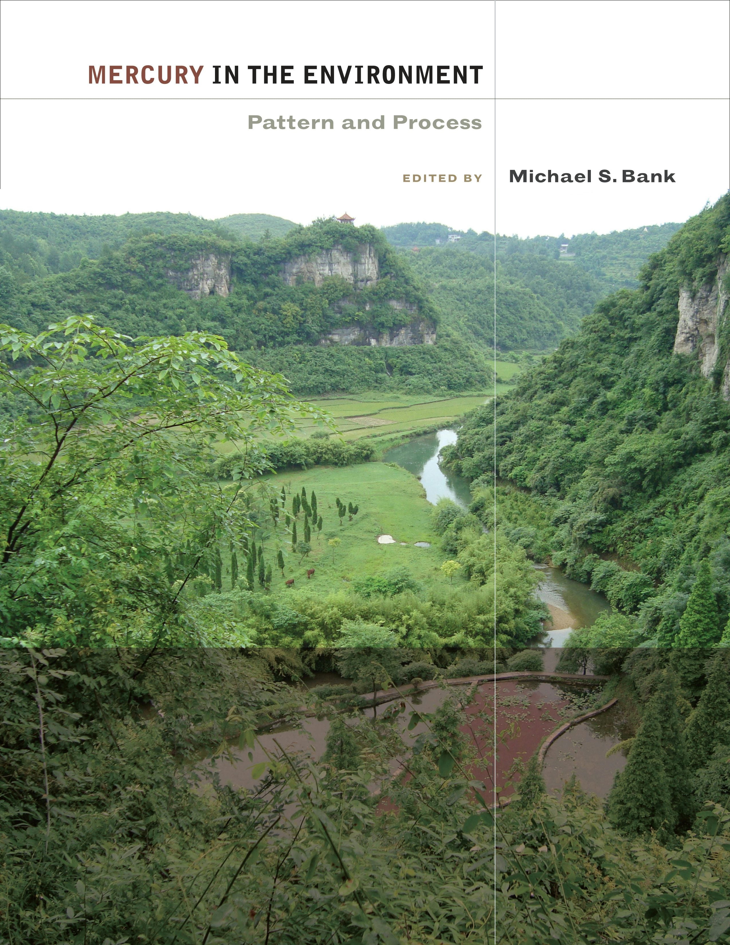 Book cover image for Mercury in the Environment ISBN: 9780520951396