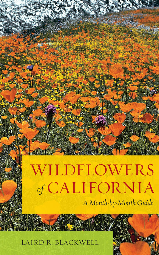 Wildflowers of California