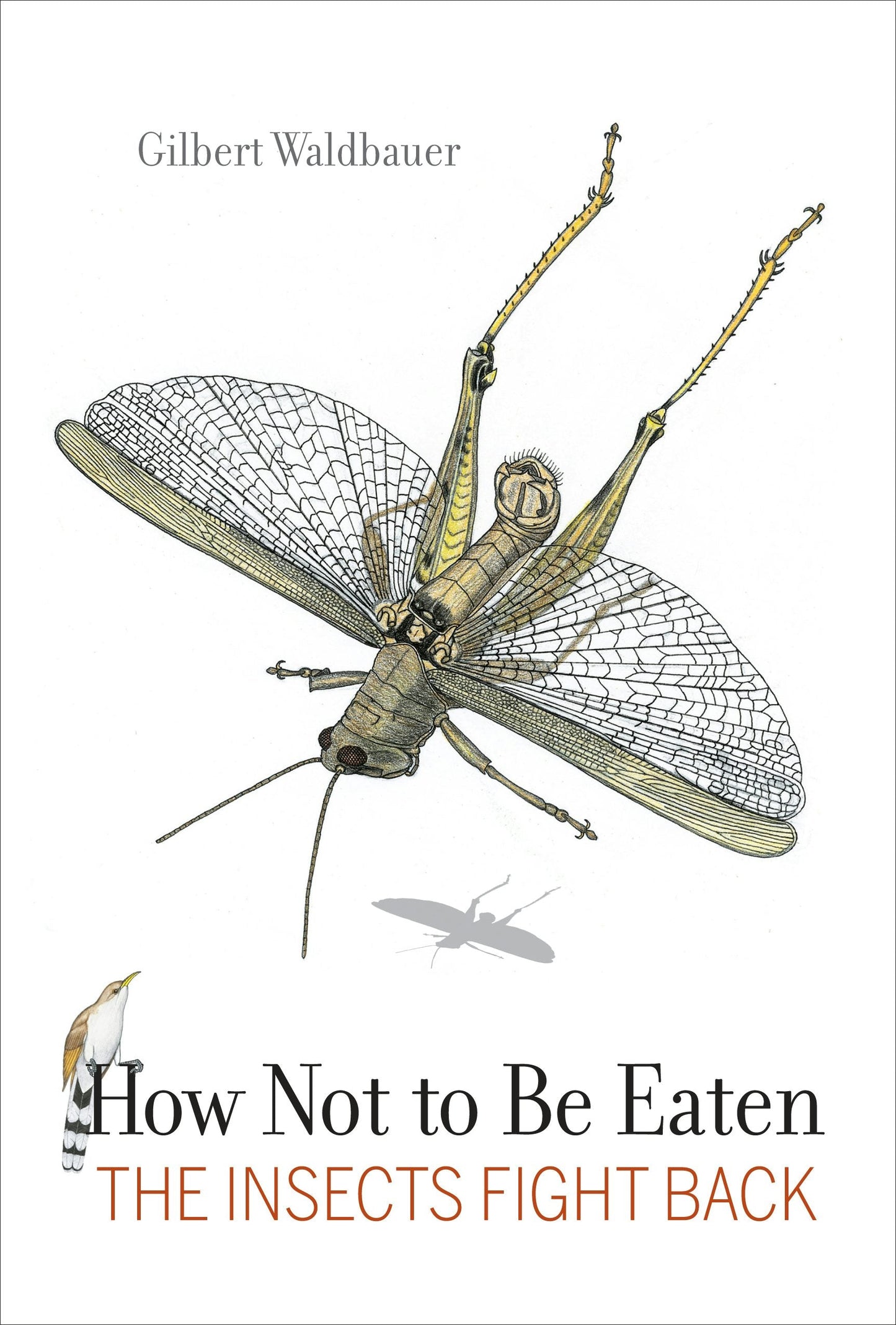 Book cover image for How Not to Be Eaten ISBN: 9780520952461