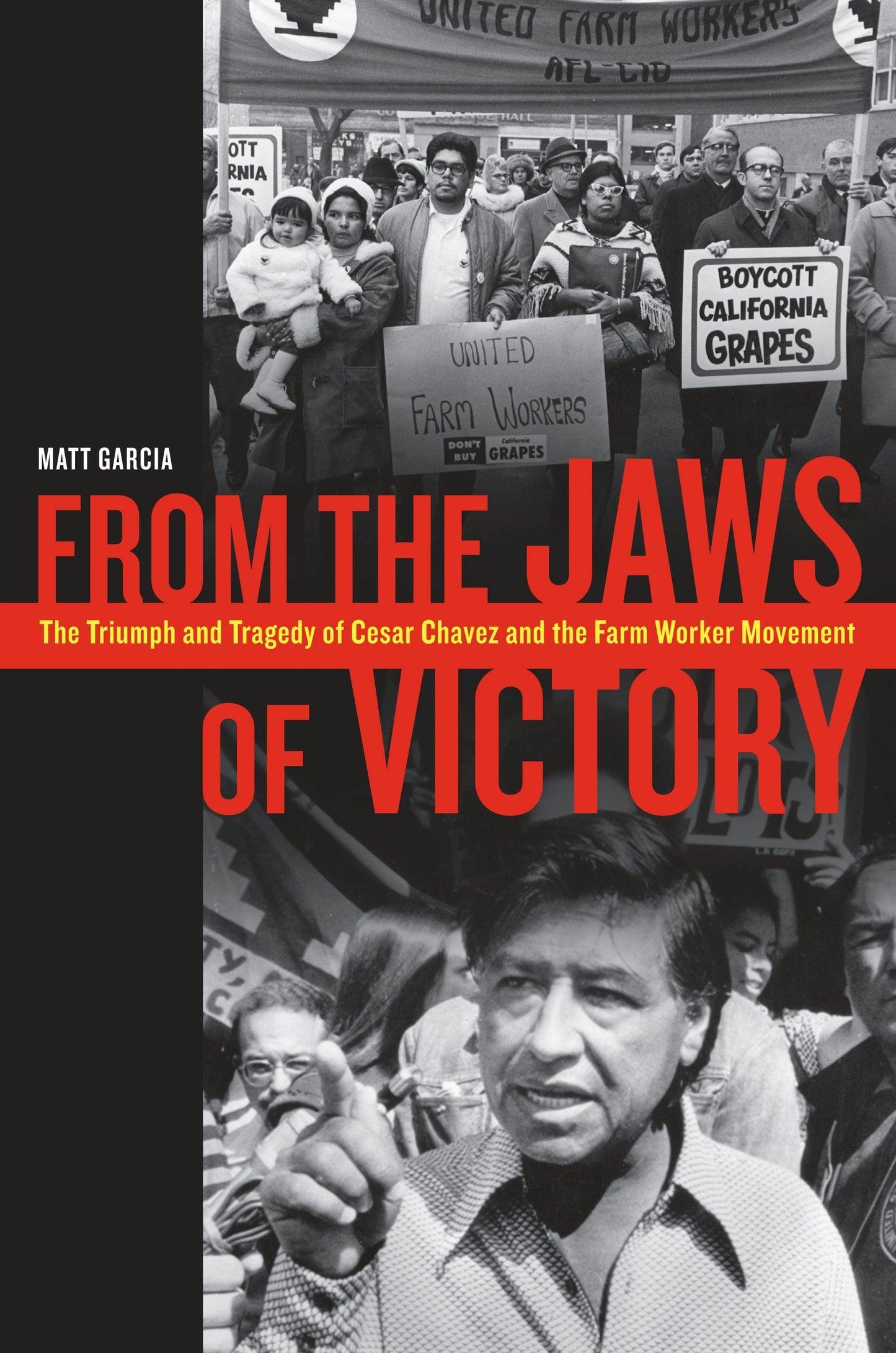 Book cover image for From the Jaws of Victory ISBN: 9780520953666
