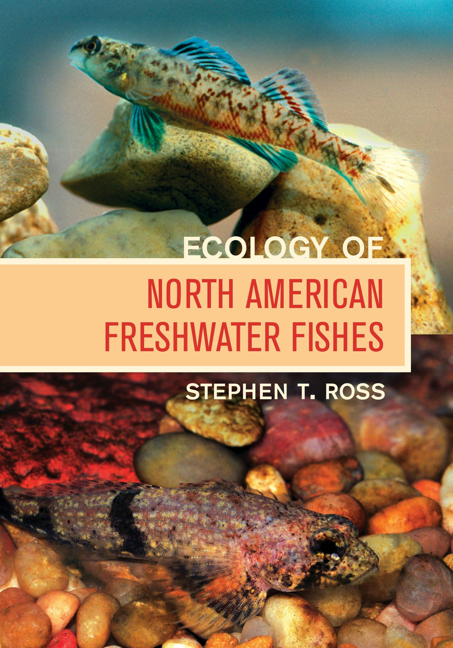 Book cover image for Ecology of North American Freshwater Fishes ISBN: 9780520955196