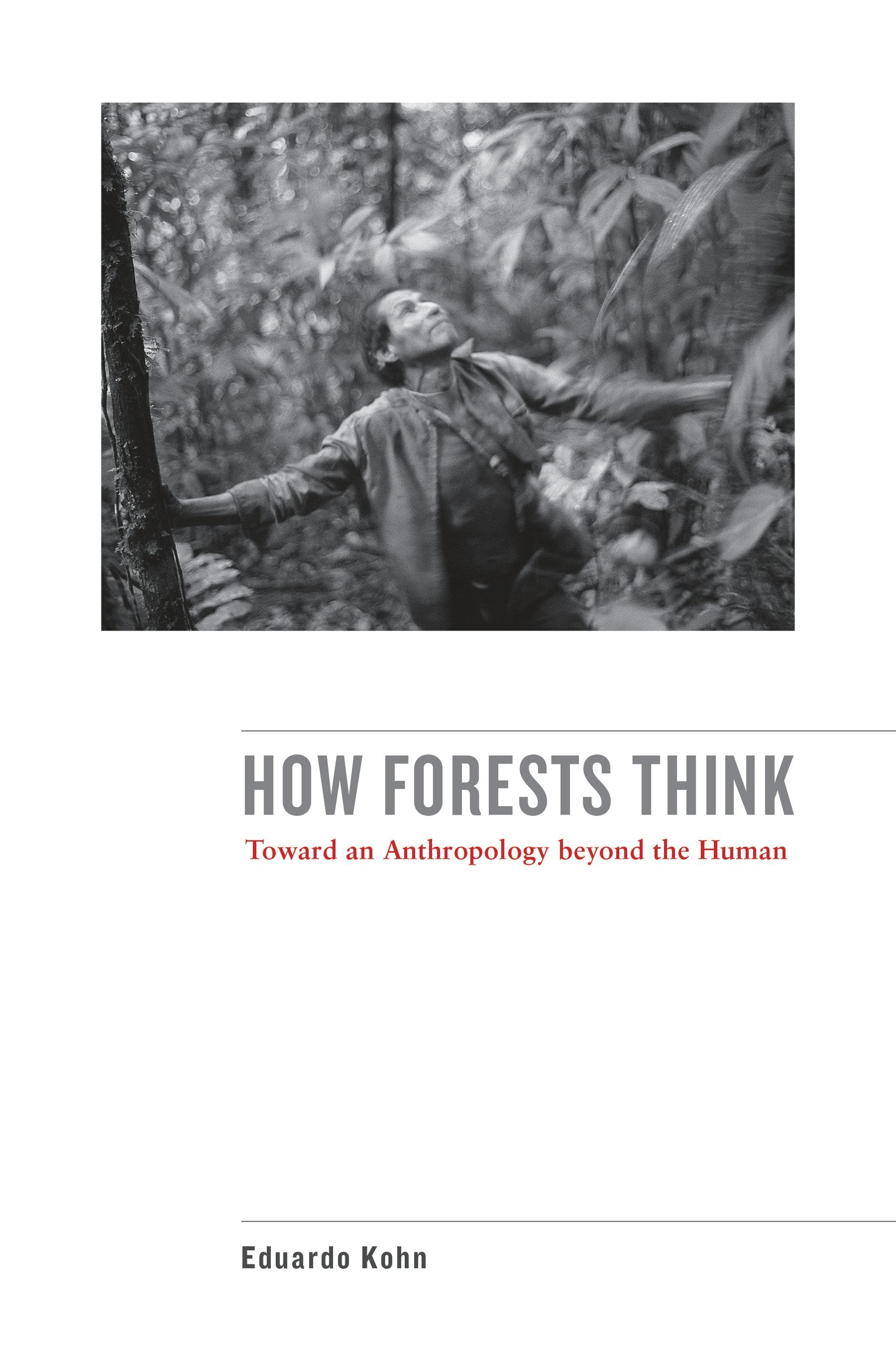 Book cover image for How Forests Think ISBN: 9780520956865