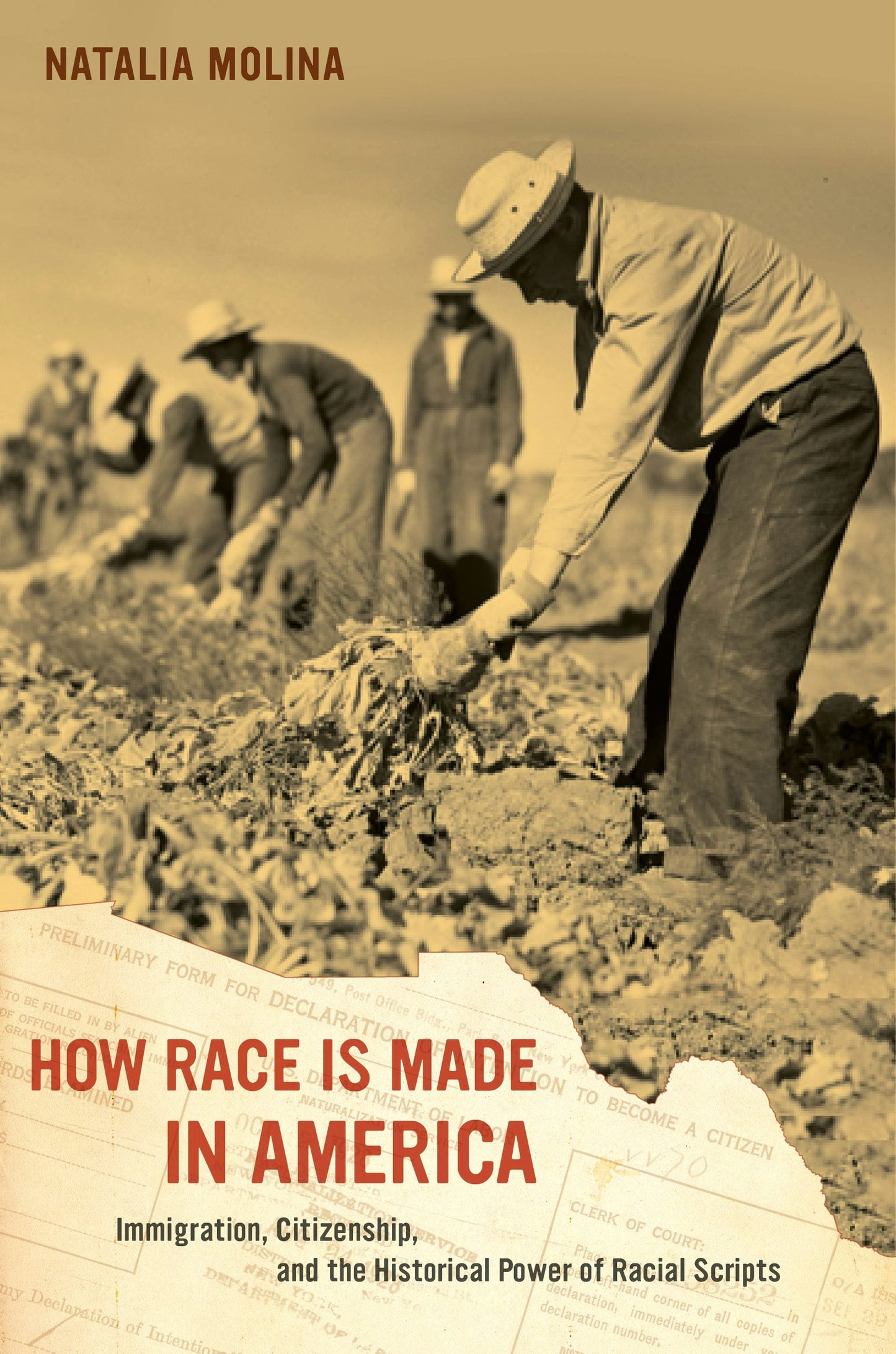 Book cover image for How Race Is Made in America ISBN: 9780520957190