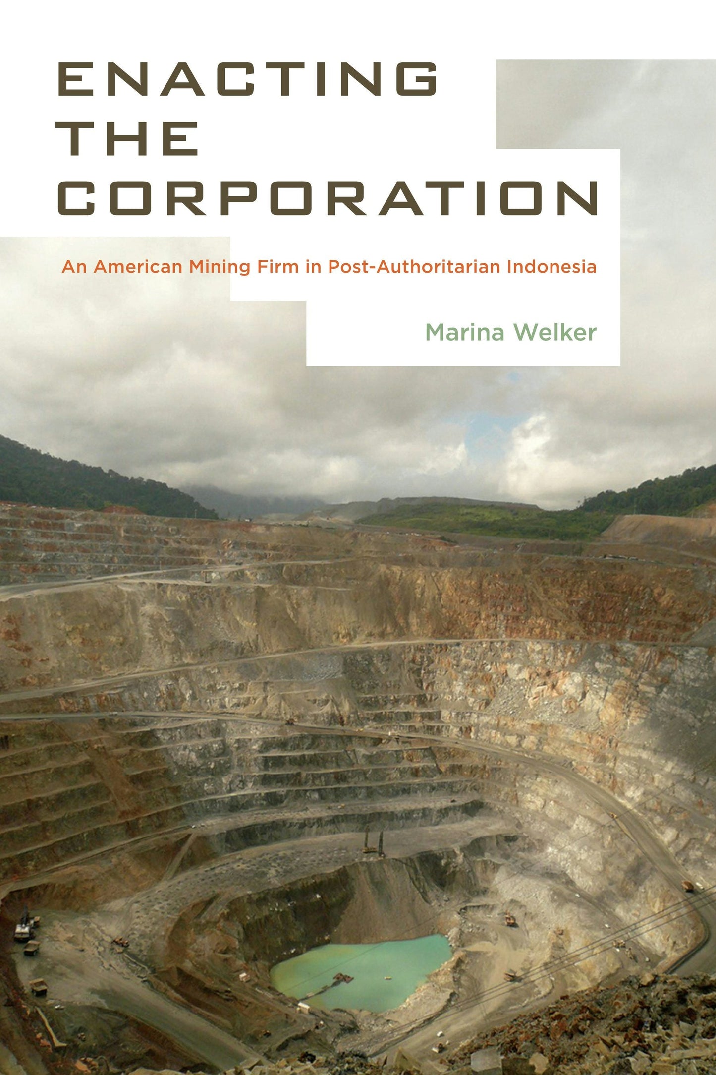 Book cover image for Enacting the Corporation ISBN: 9780520957954