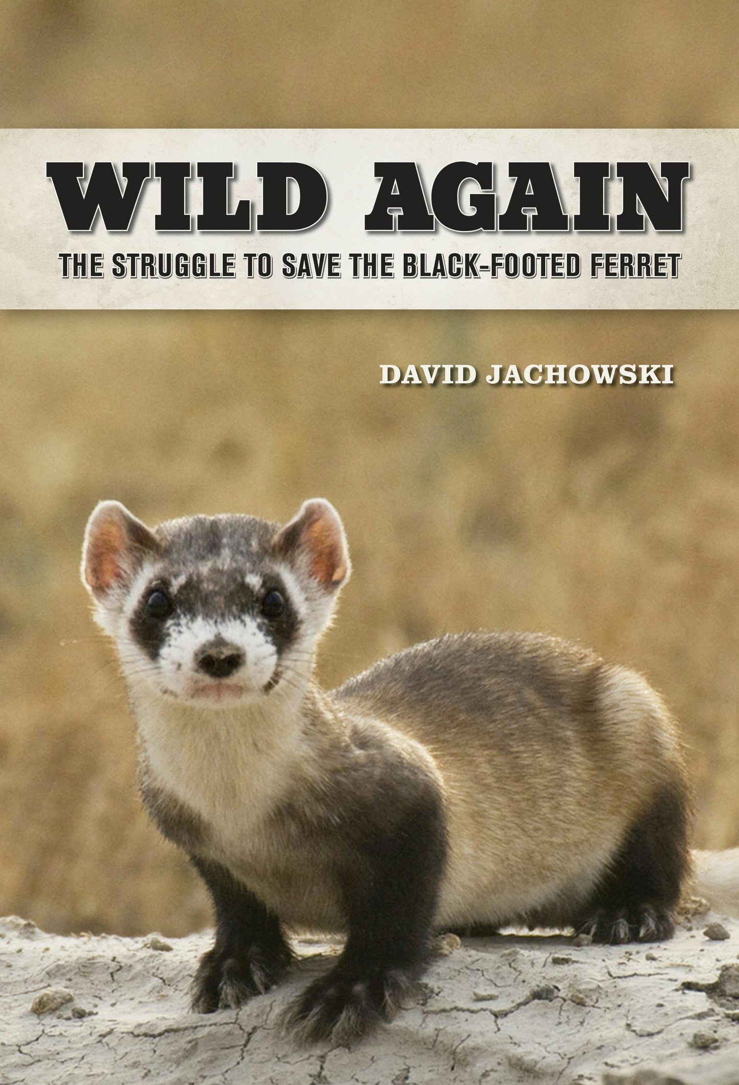 Book cover image for Wild Again ISBN: 9780520958166