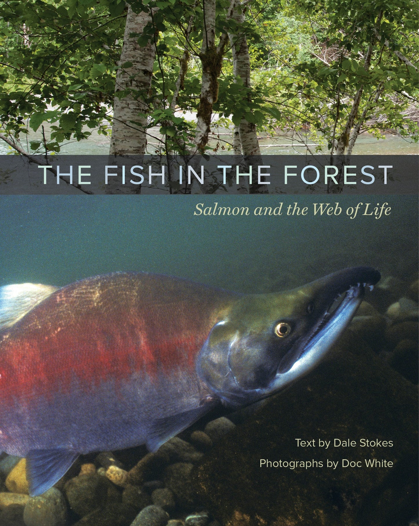 Book cover image for The Fish in the Forest ISBN: 9780520958265