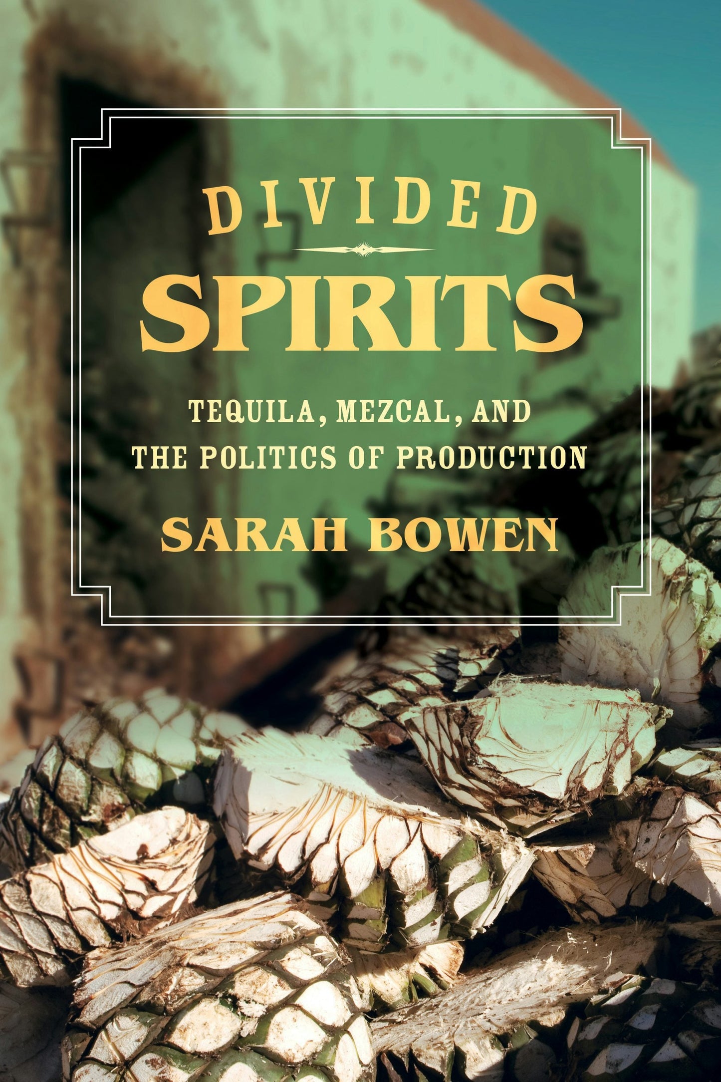 Book cover image for Divided Spirits ISBN: 9780520962583