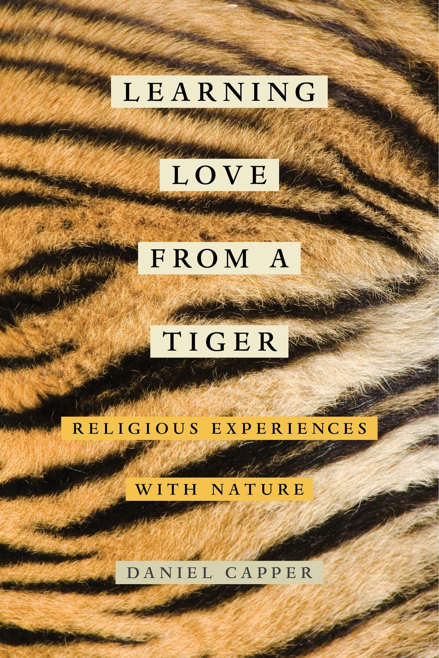 Book cover image for Learning Love from a Tiger ISBN: 9780520964600