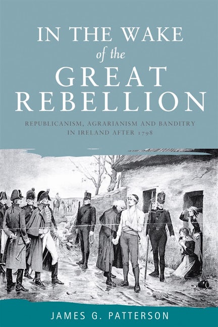 Book cover image for In the wake of the great rebellion ISBN: 9780719085567