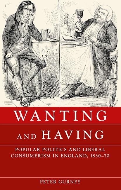 Book cover image for Wanting and having ISBN: 9780719091452