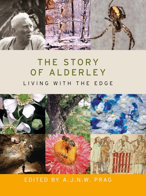 Book cover image for The story of Alderley ISBN: 9780719091711