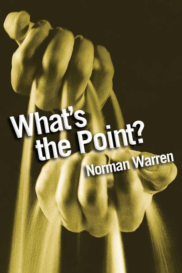 Cover image for What's The Point?, isbn: 9780745980720