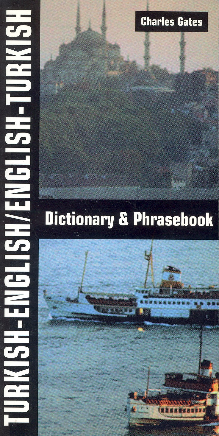 Book cover image for Turkish-English/English-Turkish Dictionary and Phrasebook ISBN: 9780781809047