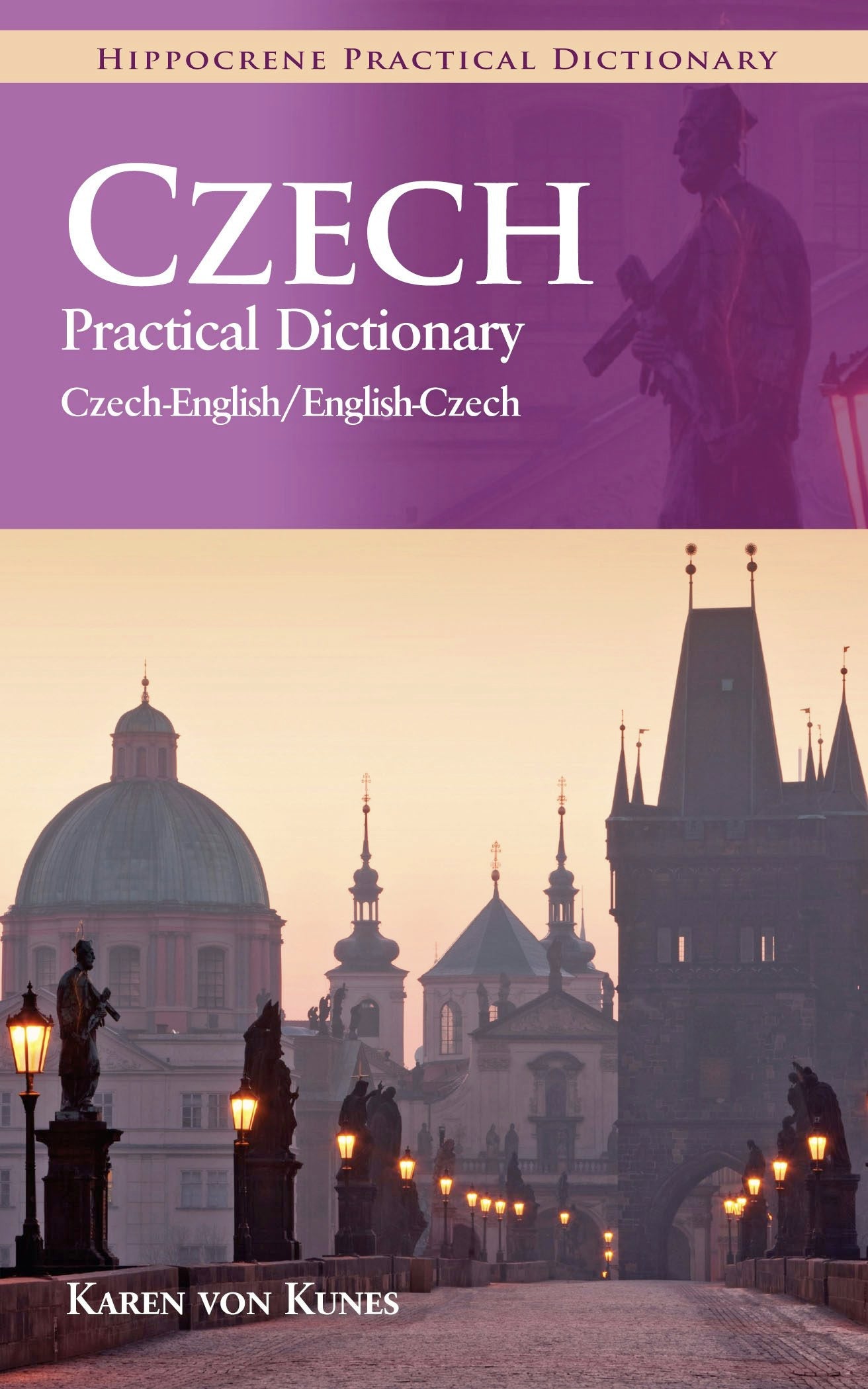 Book cover image for Czech-English/English-Czech Practical Dictionary ISBN: 9780781811071