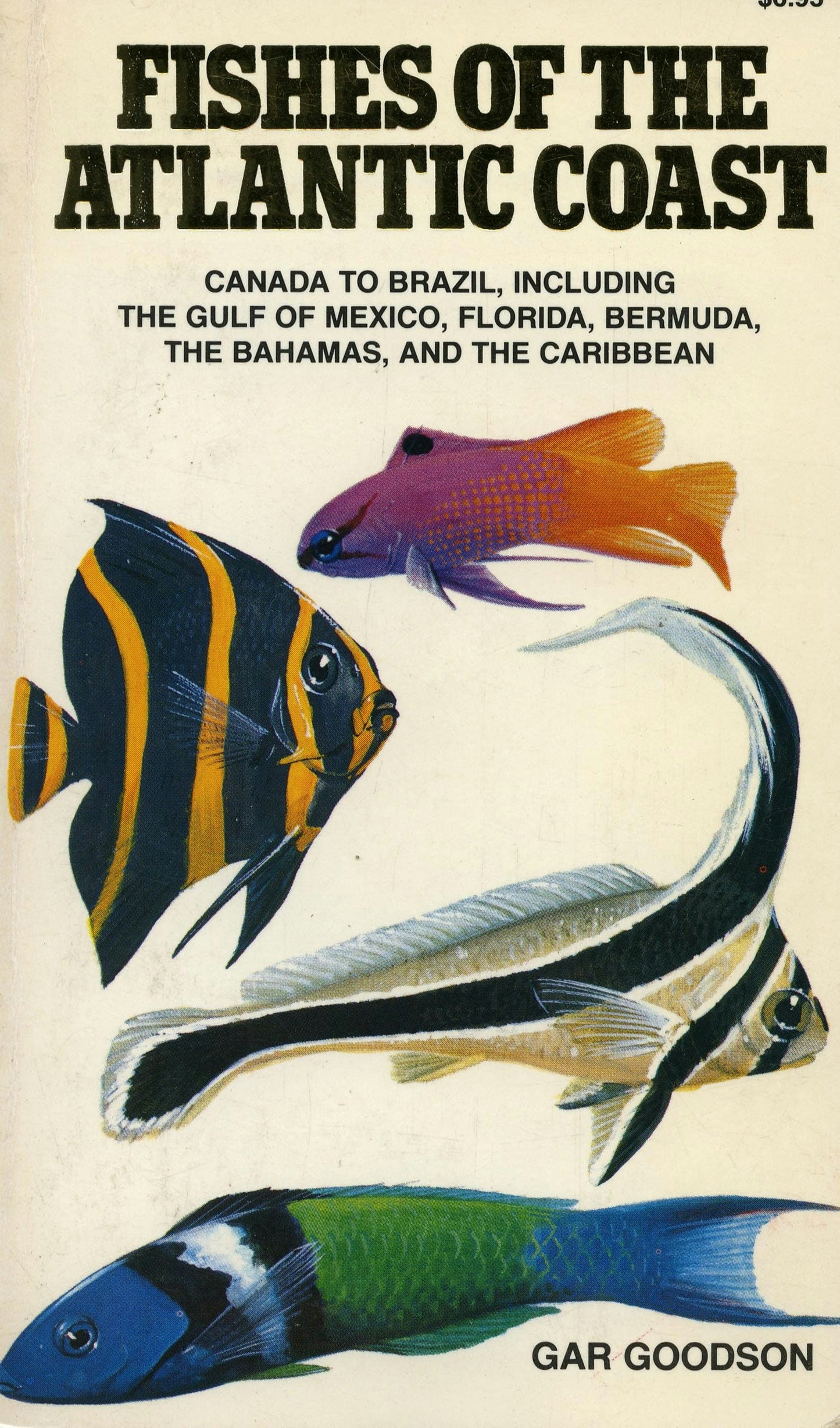 Book cover image for Fishes of the Atlantic Coast ISBN: 9780804712682