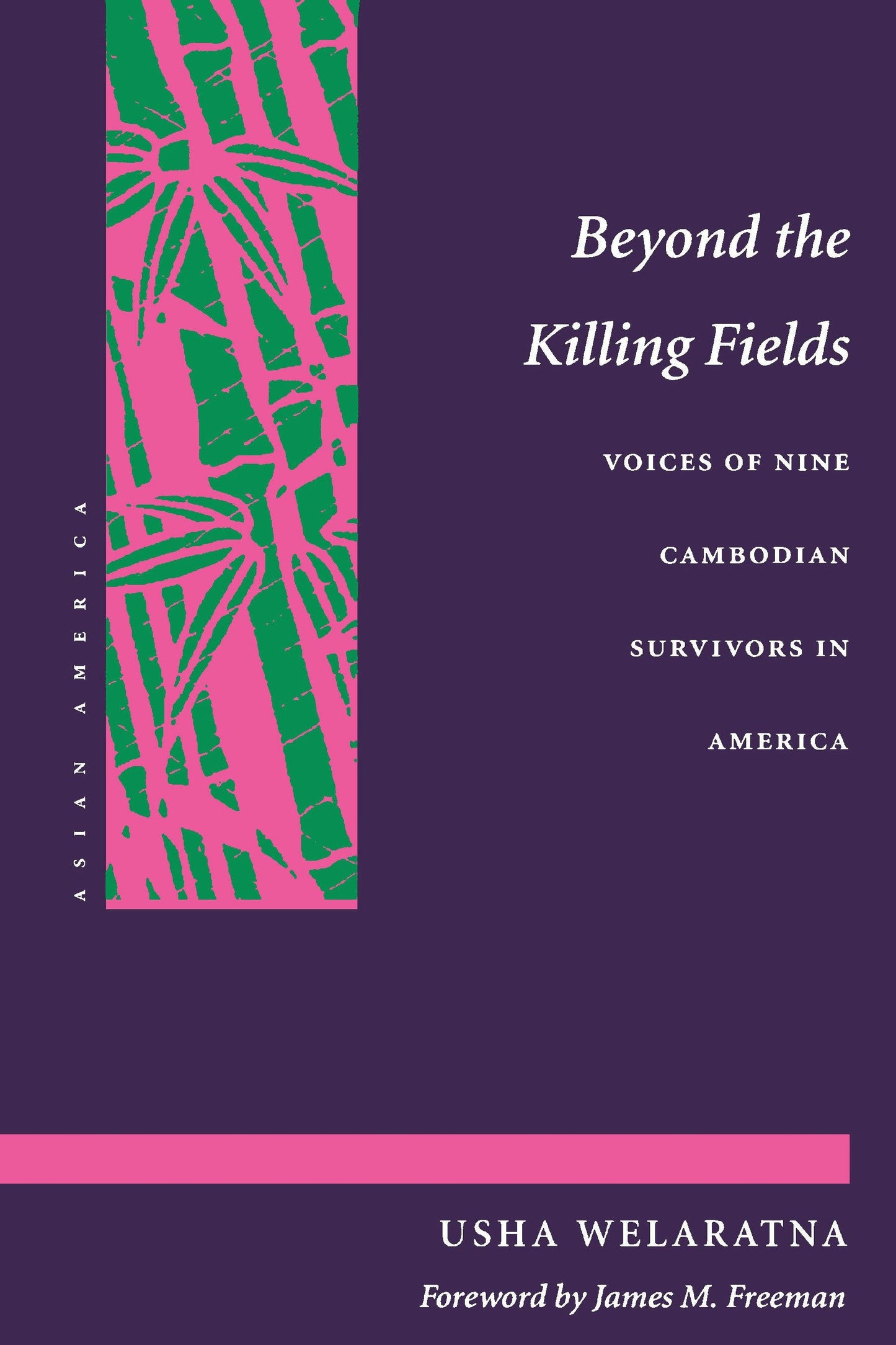 Book cover image for Beyond the Killing Fields ISBN: 9780804723725