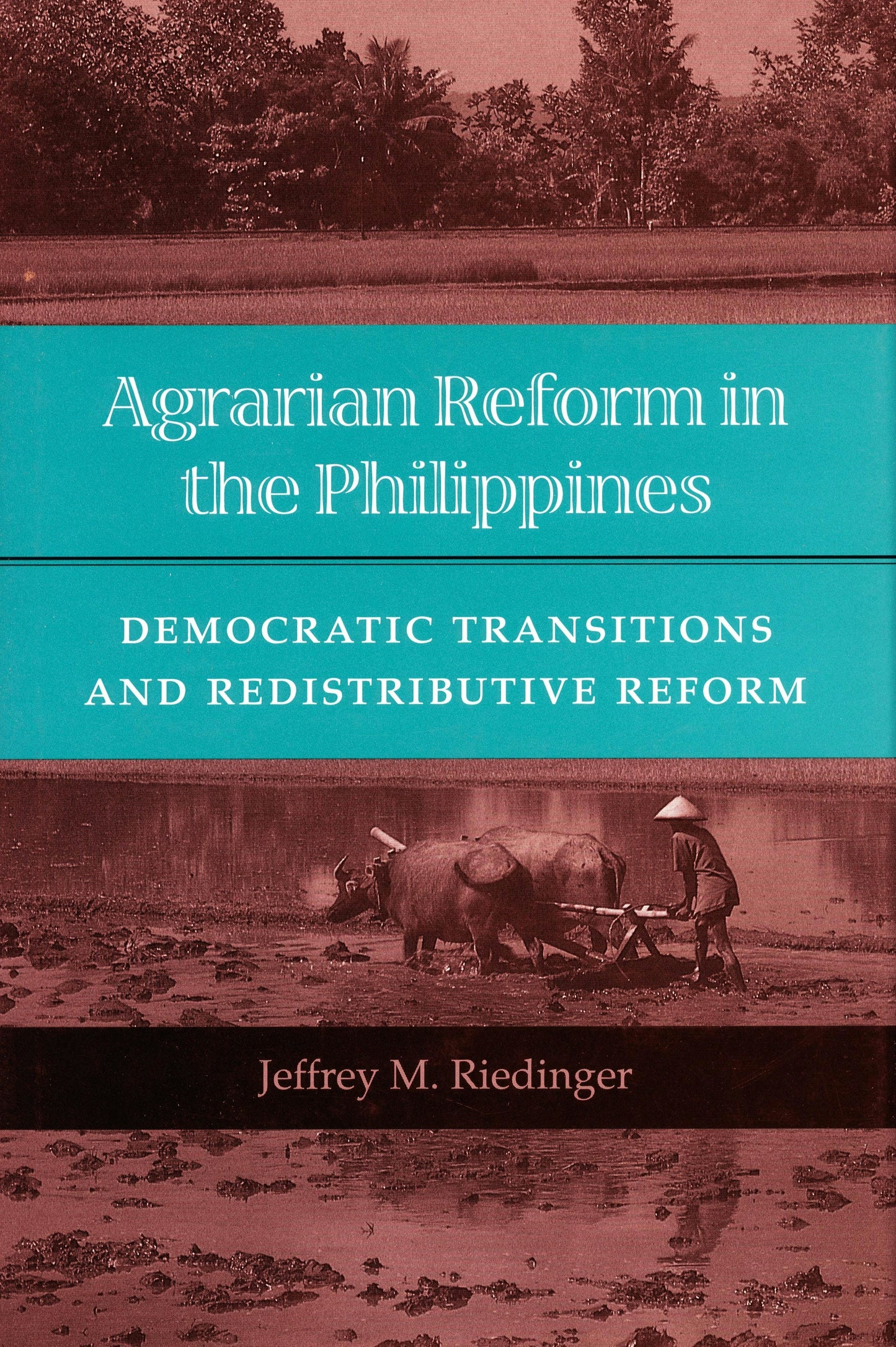 Book cover image for Agrarian Reform in the Philippines ISBN: 9780804725309