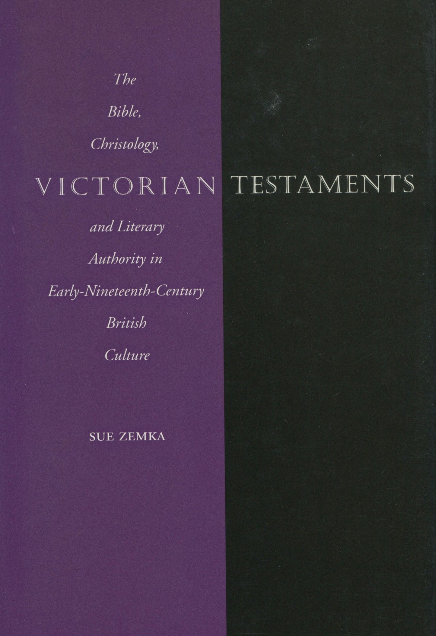 Book cover image for Victorian Testaments ISBN: 9780804728485