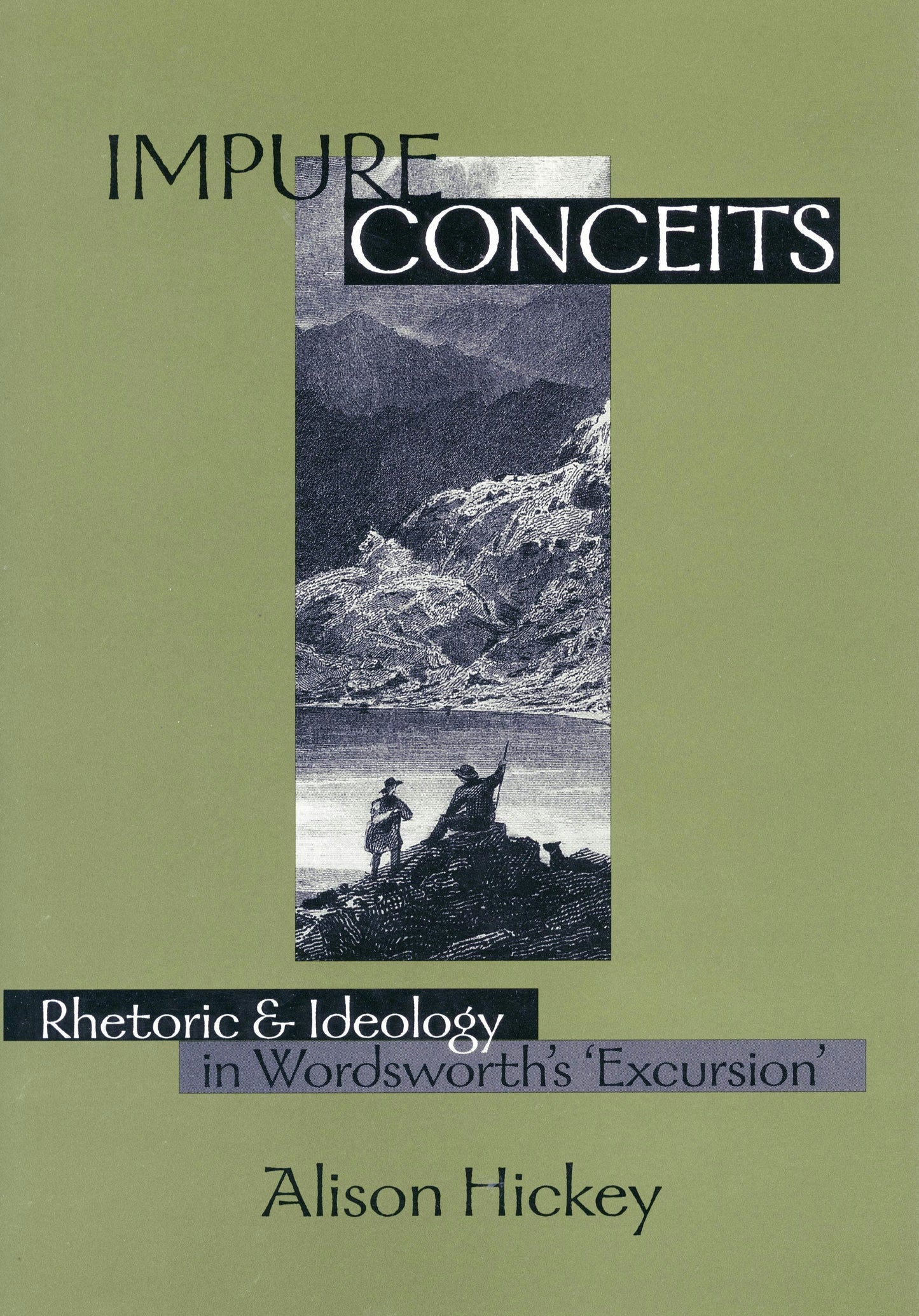 Book cover image for Impure Conceits ISBN: 9780804729710