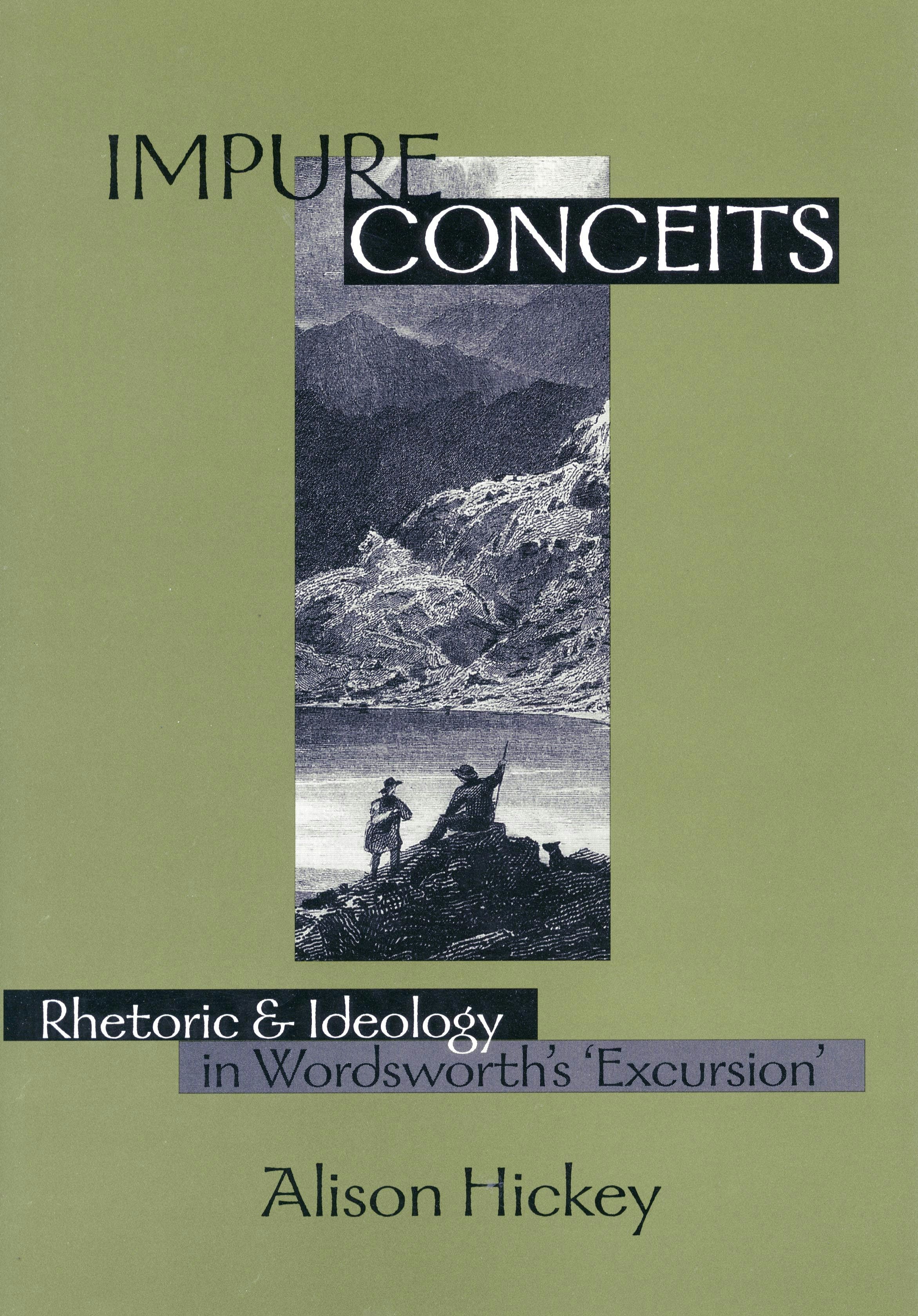Book cover image for Impure Conceits ISBN: 9780804729710