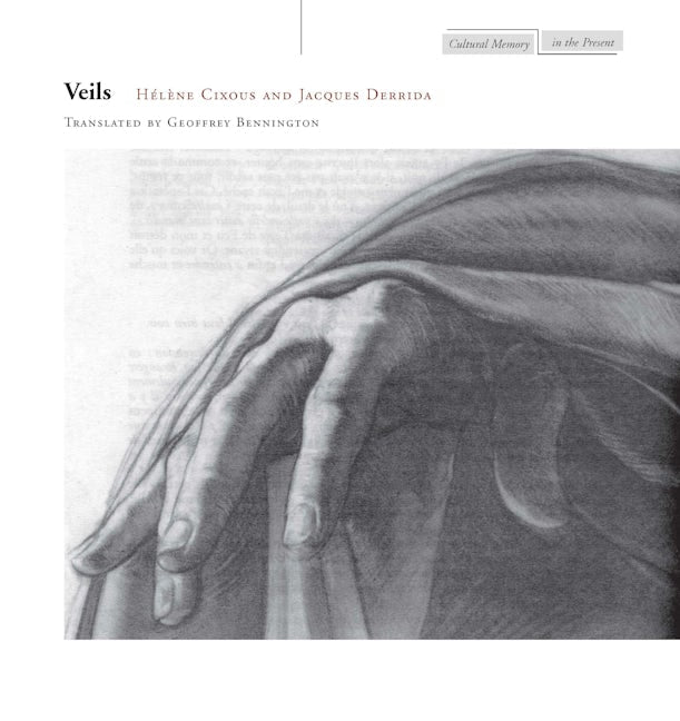 Book cover image for Veils ISBN: 9780804737951